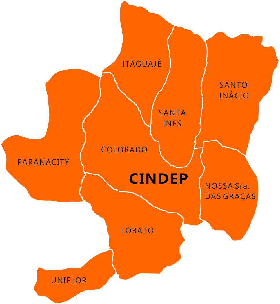 CINDEP